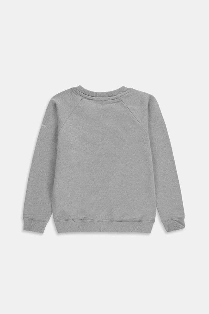 Sweatshirt med logo i 100% bomull