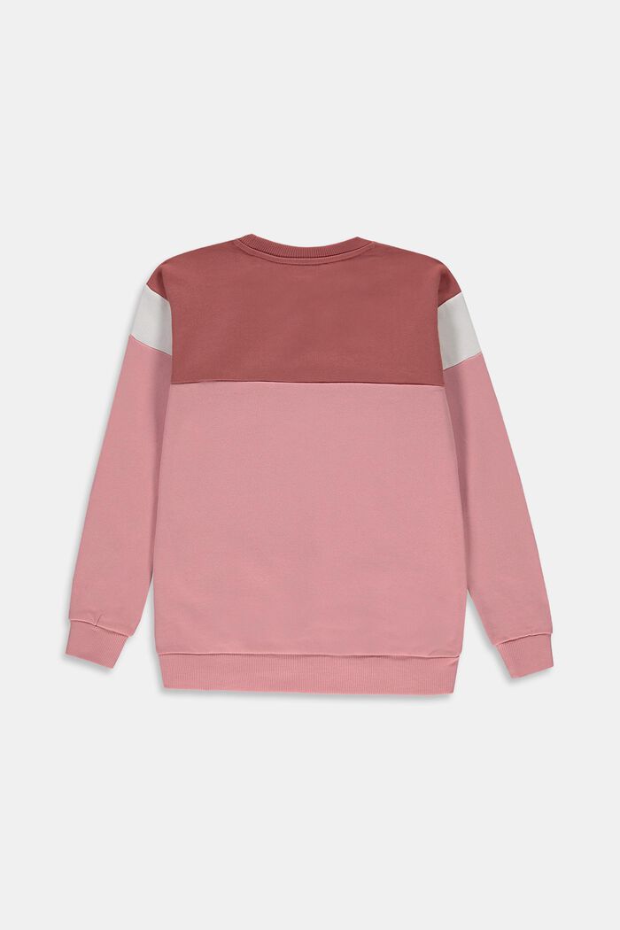 Sweatshirt med färgblock i 100% bomull, MAUVE, detail image number 1