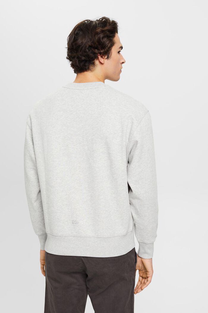 Sweatshirt med litet delfintryck, LIGHT GREY, detail image number 3
