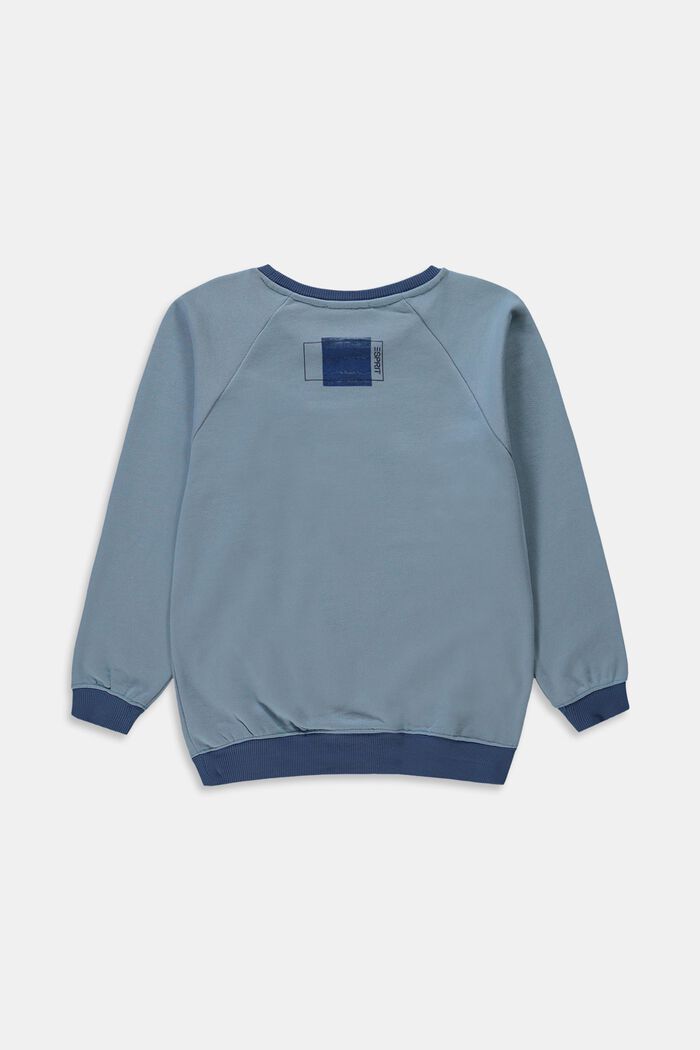 Sweatshirt i 100% bomull, LIGHT BLUE, detail image number 1