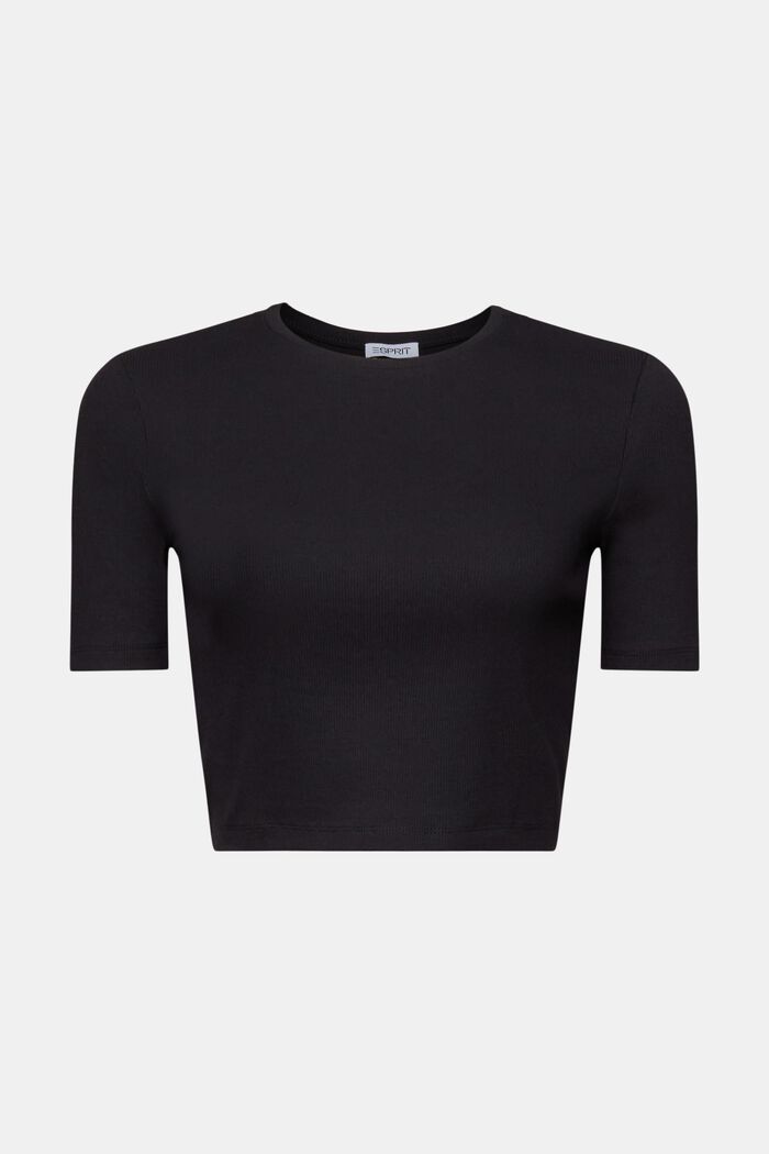 Ribbad kort T-shirt av bomull, BLACK, detail image number 6