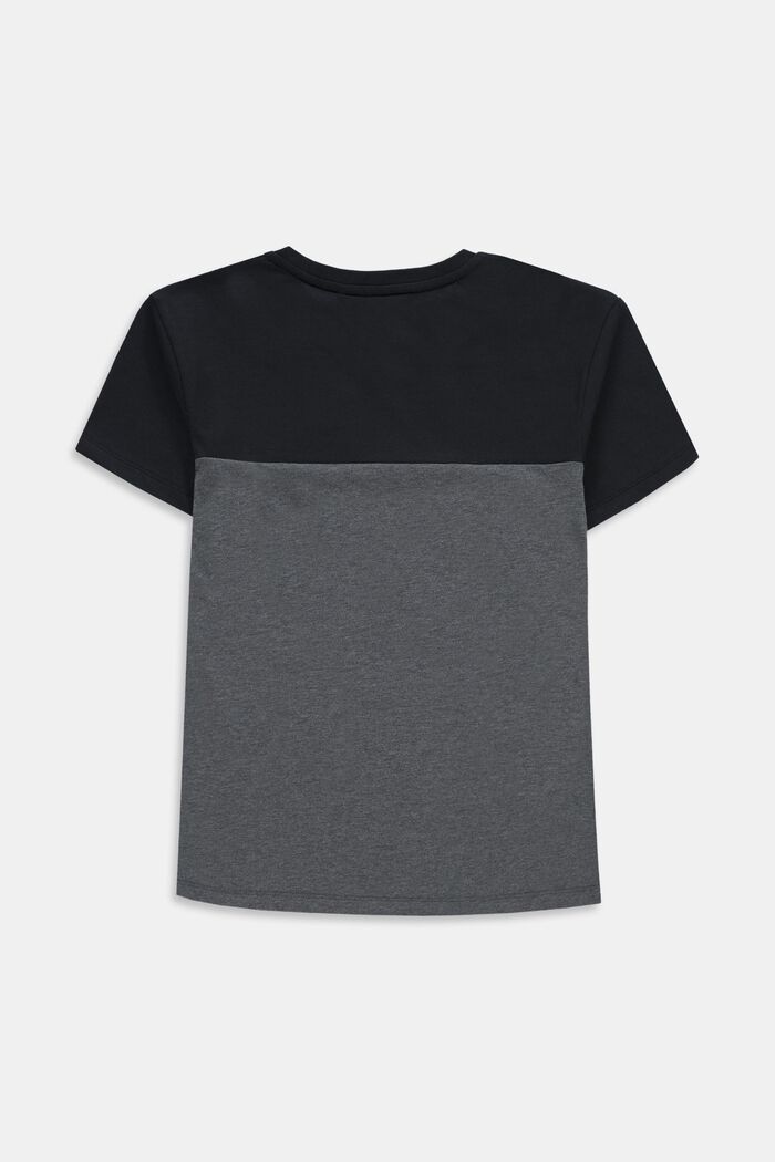 Tvåfärgad T-shirt, BLACK, detail image number 2