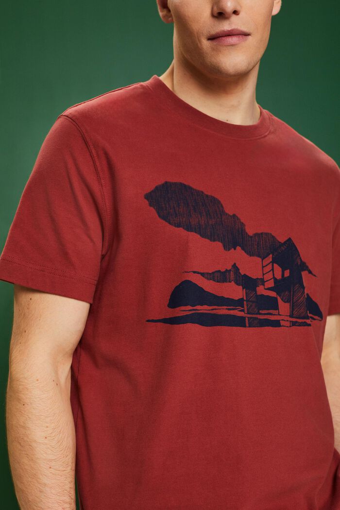 T-shirt med grafiskt tryck, TERRACOTTA, detail image number 2