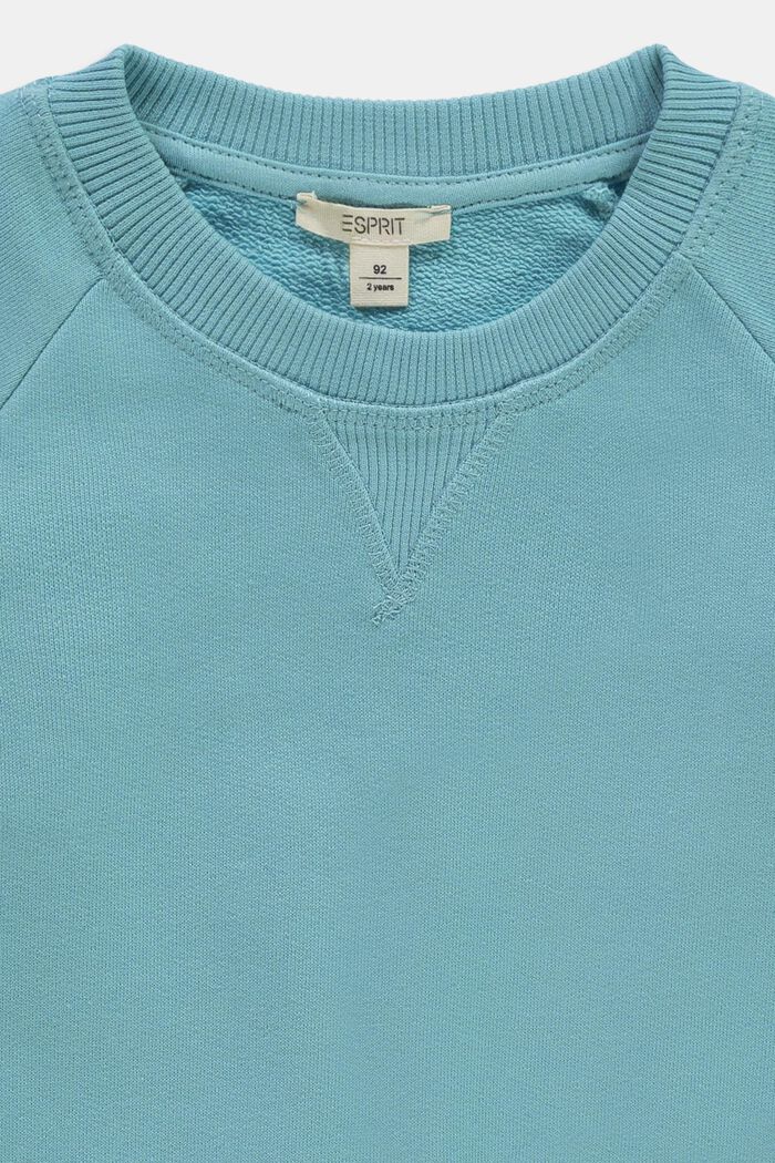 Enfärgad sweatshirt, LIGHT TURQUOISE, detail image number 2