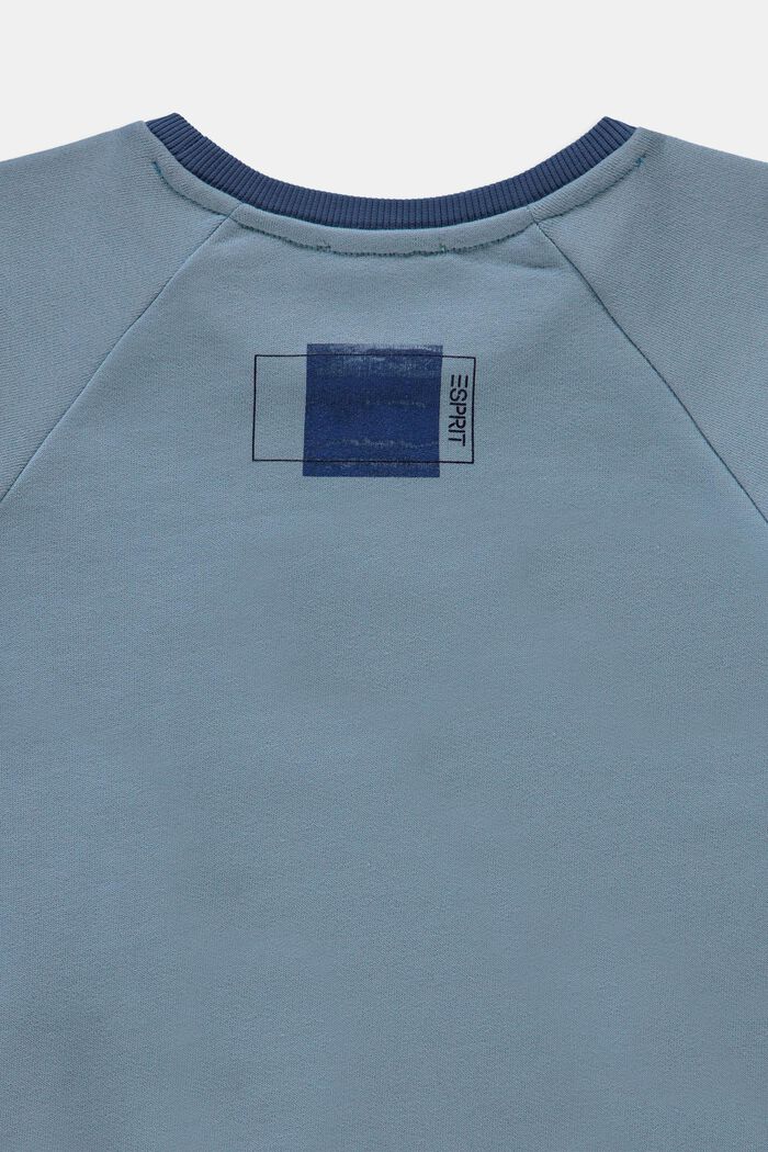 Sweatshirt i 100% bomull, LIGHT BLUE, detail image number 2