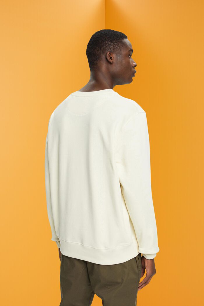 Sweatshirt med tryck fram, ICE, detail image number 3