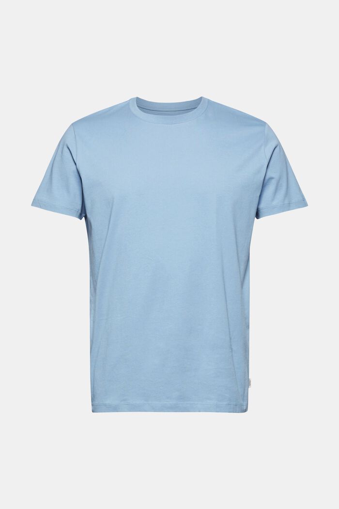T-shirt av jersey i 100% ekologisk bomull, GREY BLUE, detail image number 0
