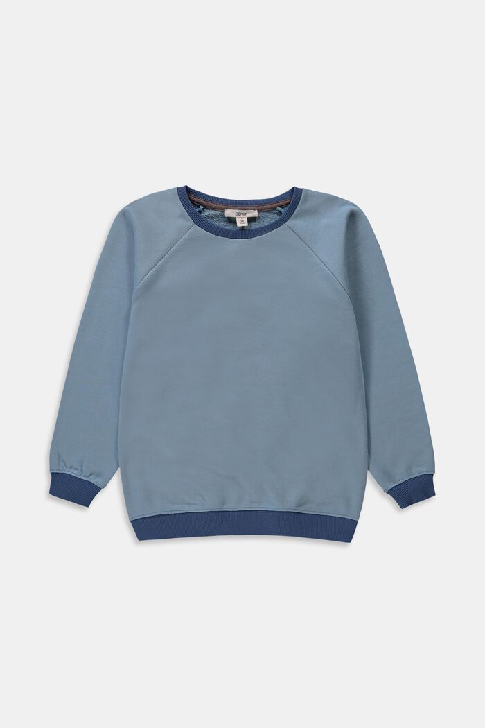 Sweatshirt i 100% bomull, LIGHT BLUE, detail image number 0