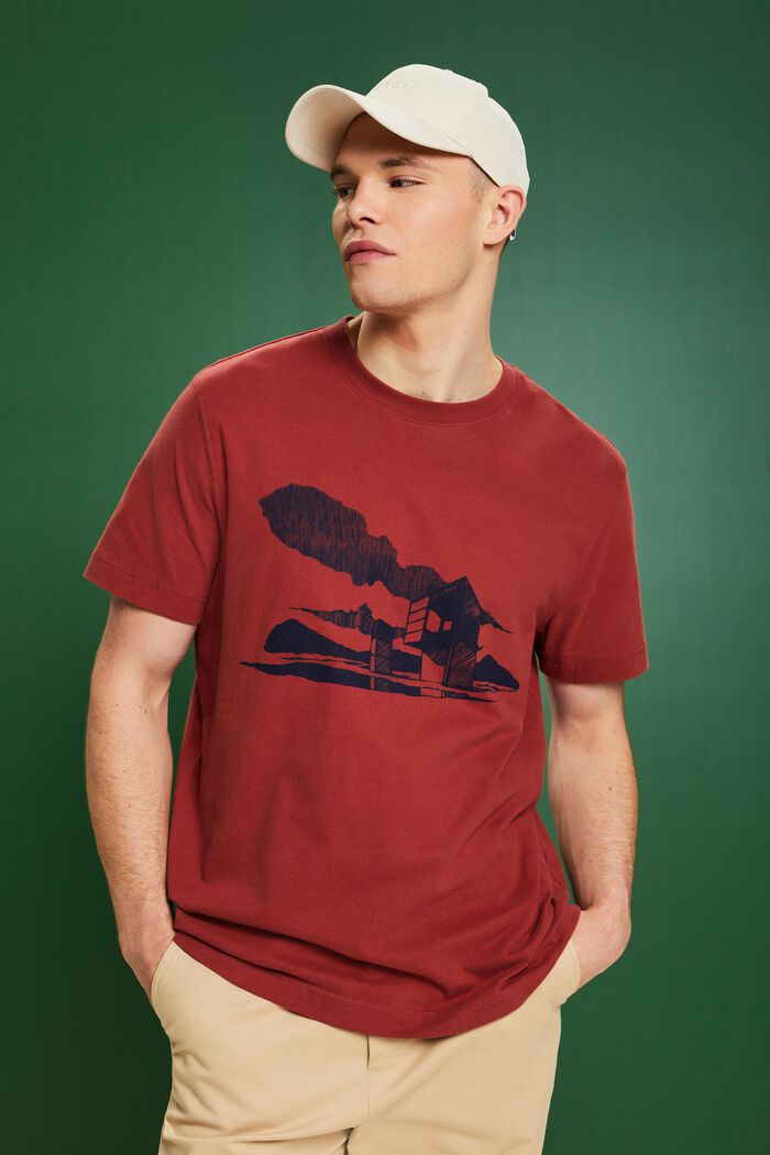 T-shirt med grafiskt tryck, TERRACOTTA, detail image number 0