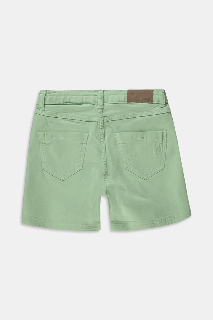 Återvunnet material: shorts med reglerbar linning, PISTACCHIO GREEN, detail image number 1