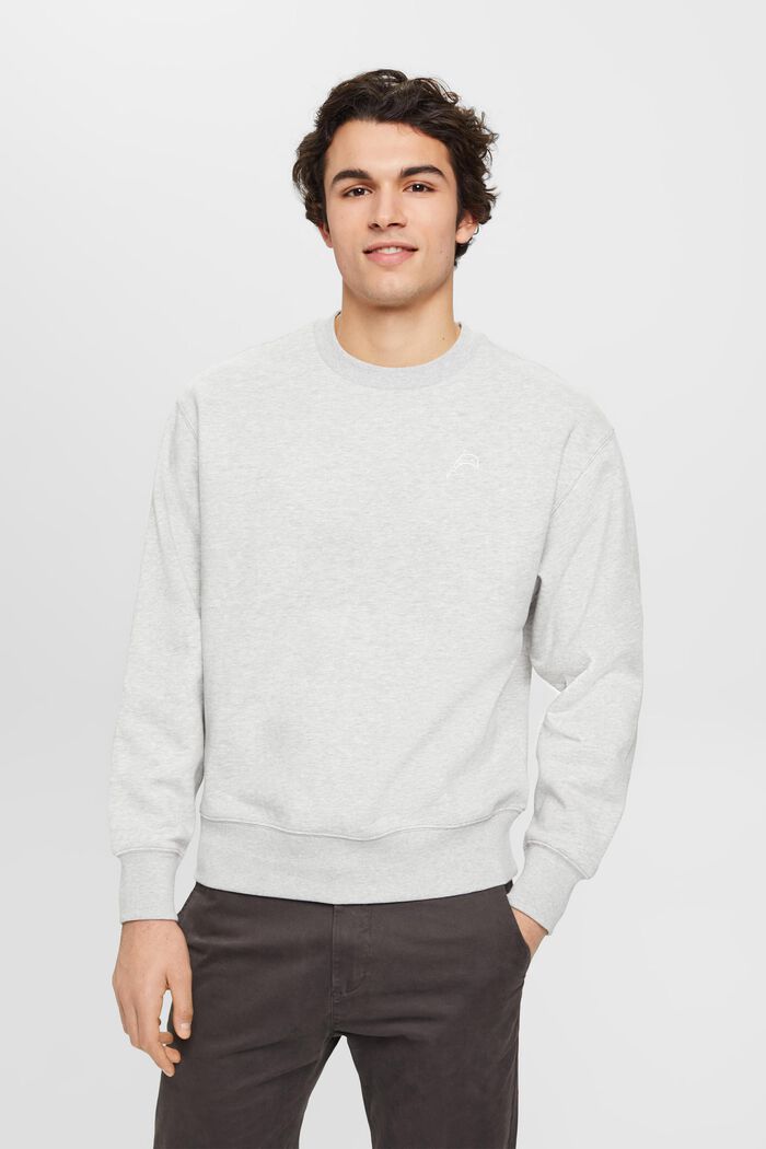 Sweatshirt med litet delfintryck, LIGHT GREY, detail image number 0