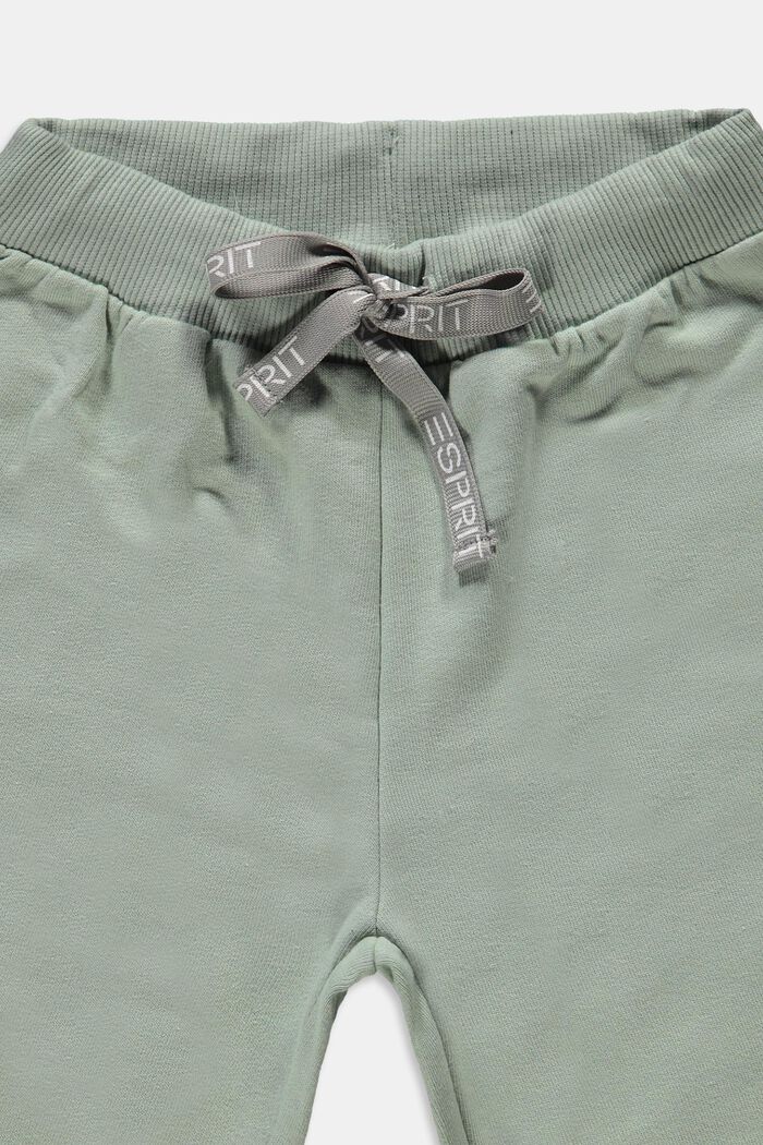 Sweatshorts i 2-pack, 100% bomull, LIGHT AQUA GREY, detail image number 2