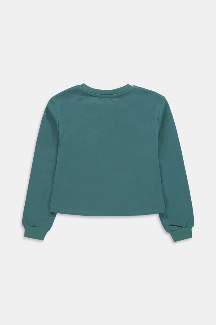 Sweatshirt i bomull, TEAL GREEN, detail image number 1