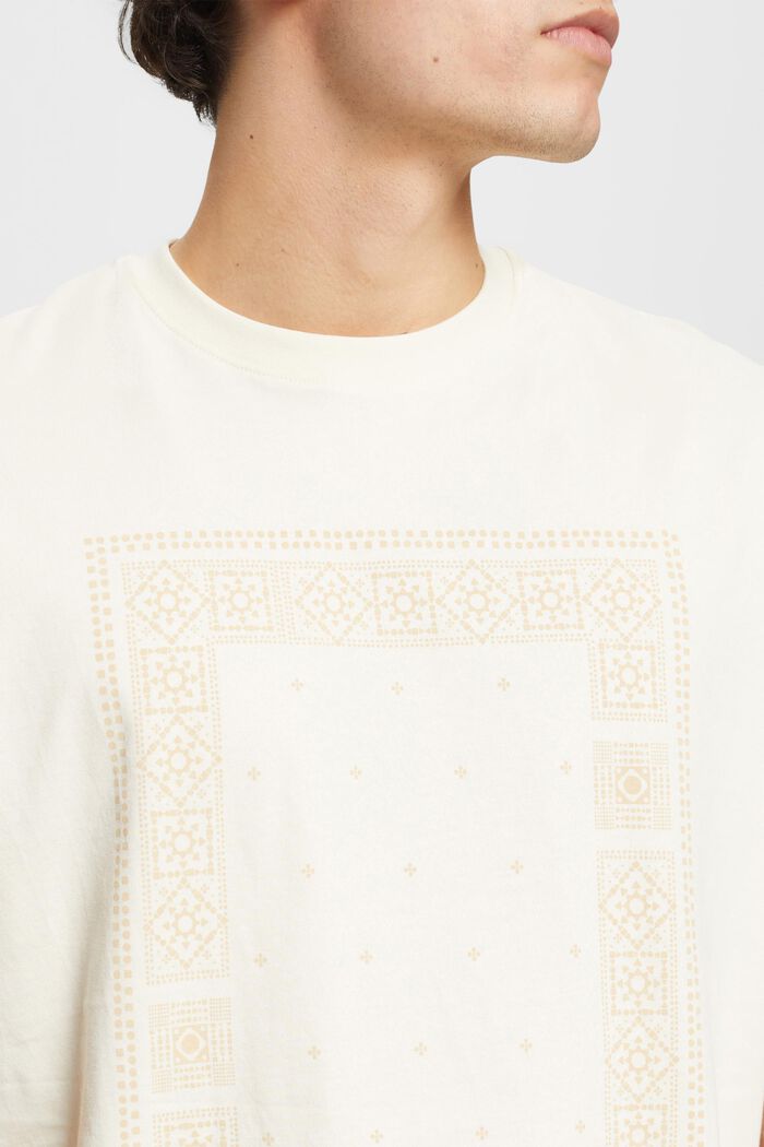 T-shirt av bomull i avslappnad passform med tryck fram, ICE, detail image number 2